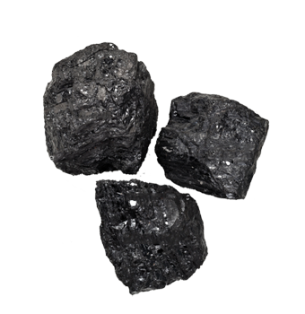 Coal