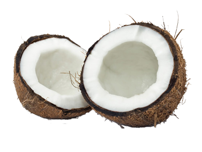 Coconut