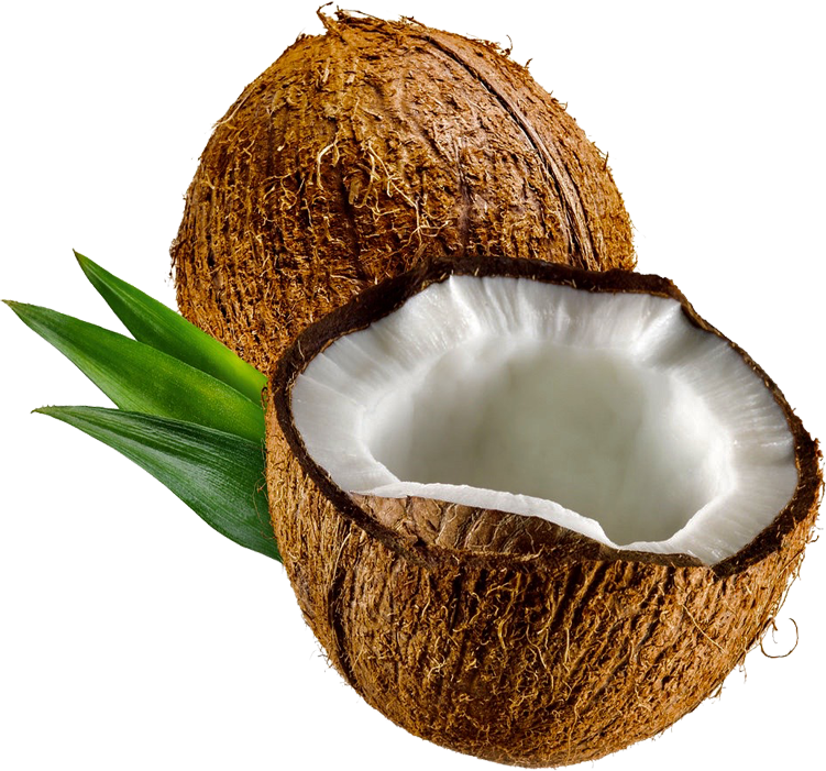 Coconut